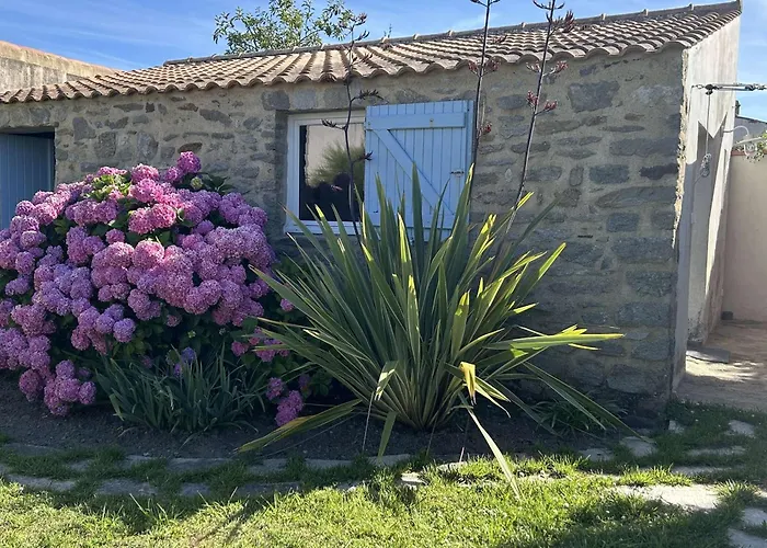 Charmante Maison Renovee Avec Gout, Jardin Clos, Acces Wifi, Proche Commerces Et Mer. - Fr-1-224b-160 度假居 诺亚芒提亚